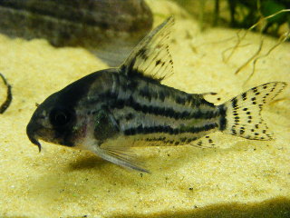 DSCF7662.JPG