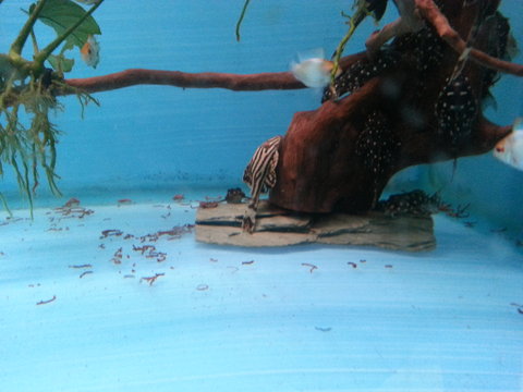 20140406_171528.jpg