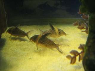IMG_1808.JPG