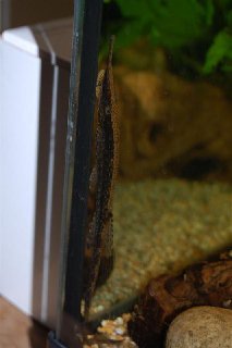 DSC_0162 (Medium).JPG