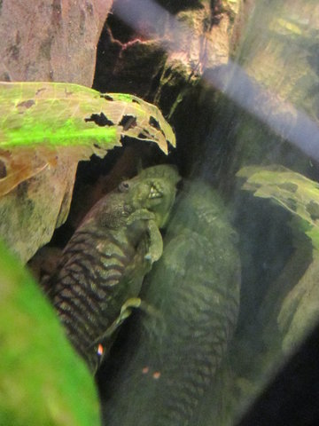 2014 08 02 055.JPG
