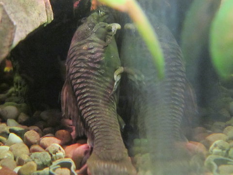 2014 08 02 057.JPG