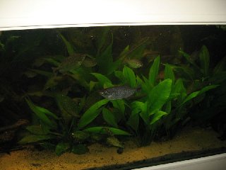 IMG_2981.jpg
