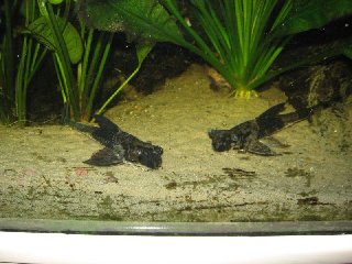 IMG_2988.jpg