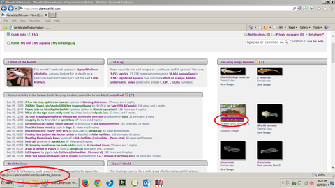 PC front page