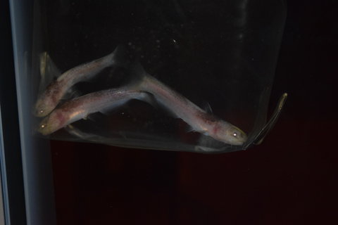 DSC_0285.JPG