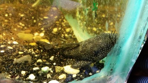 20150120_202119.jpg
