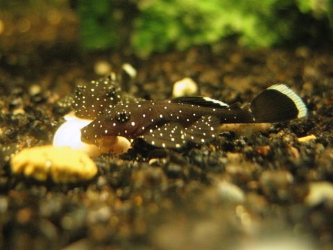 IMG_2813_1.jpg