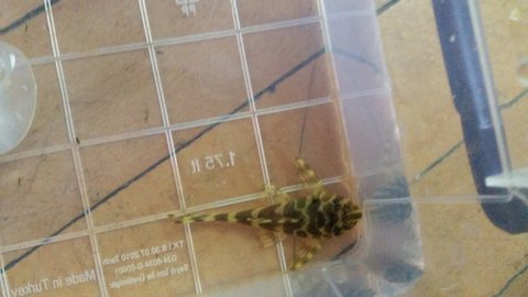 20150306_142011.jpg