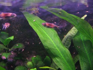 IMG_3067.jpg