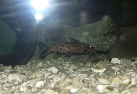 IMAG0053_2.jpg