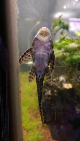 IMAG0276.jpg