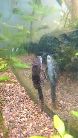 IMAG0302.jpg