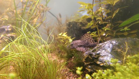 IMAG0345.jpg