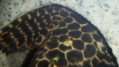 20150807_223617.jpg