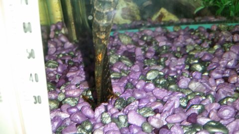 20150708_195617.jpg