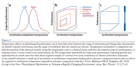 Homeostasis tolerance polygon.PNG