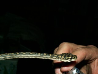 feb 11-08 013.jpg