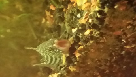 20150924_195702.jpg