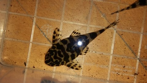 20151008_153229.jpg