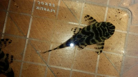 20151008_153232.jpg