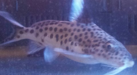 20151106_184539-1.jpg