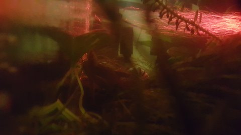 20151222_215325.jpg