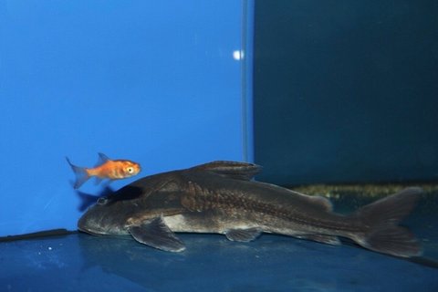 IMG_44631.jpg