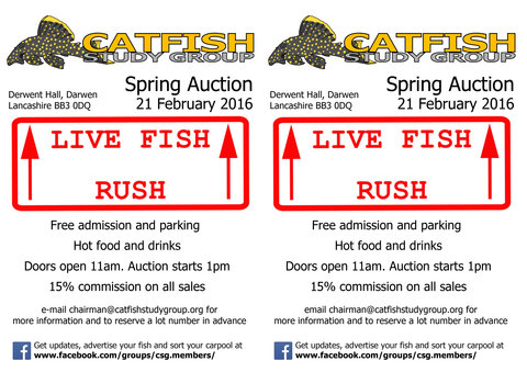 SpringAuction2016_A5flyersNOPIER.jpg