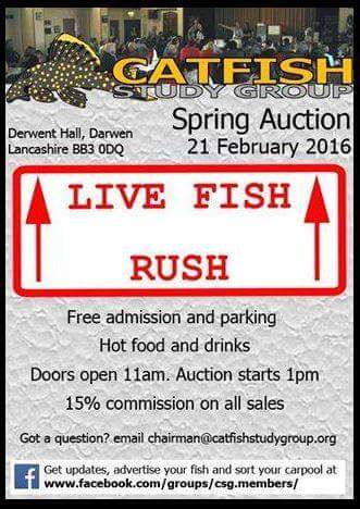 auction.jpg