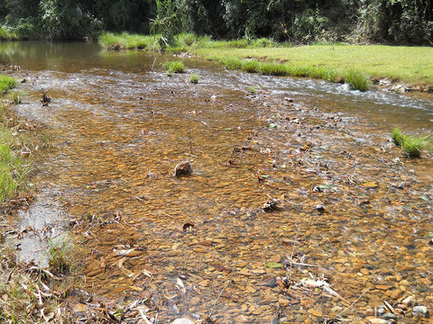 Typical habitat.