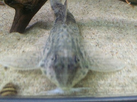 IMG_5457.JPG