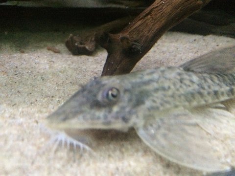 IMG_5458.JPG