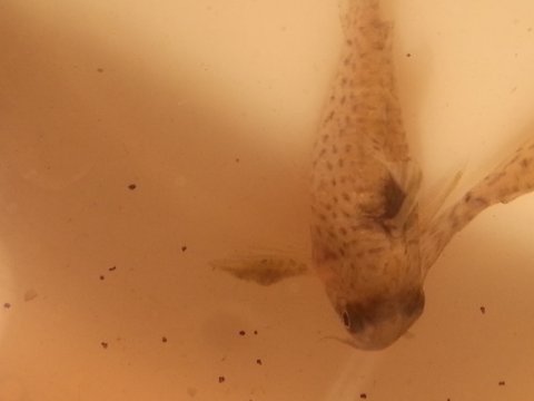 WP_20160317_011.jpg