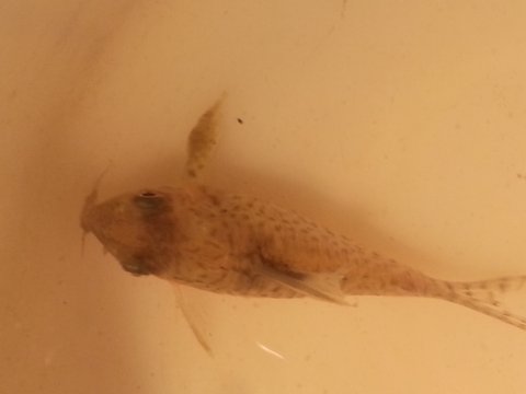 WP_20160317_021.jpg