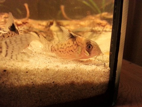 WP_20160317_027.jpg