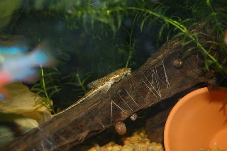DSC_0001.JPG