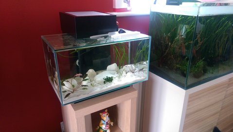 Fry tank