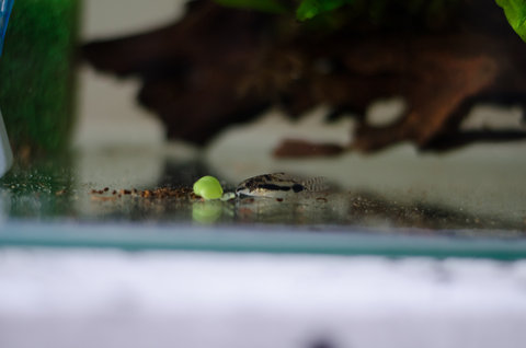 DSC_5418.jpg