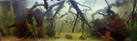 20160417_171512-1.jpg