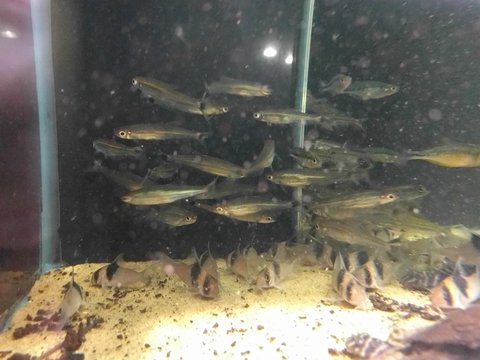 IMG_20160422_100355.jpg