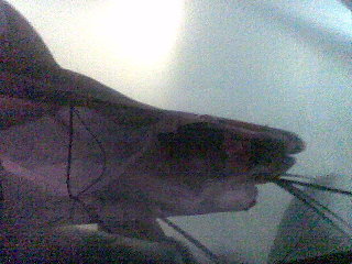 Image052.jpg