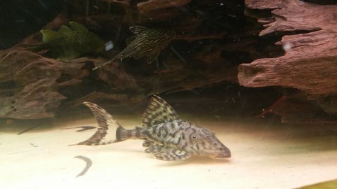 20160807_003341.jpg