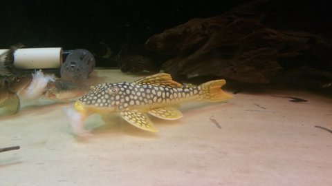 20160807_010443.jpg