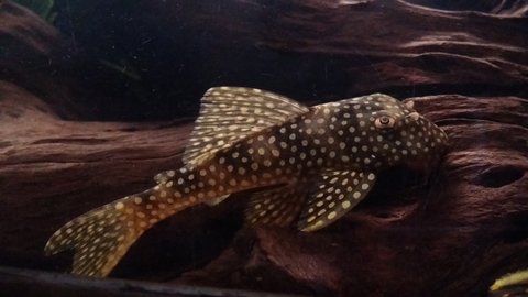 20160701_033316.jpg