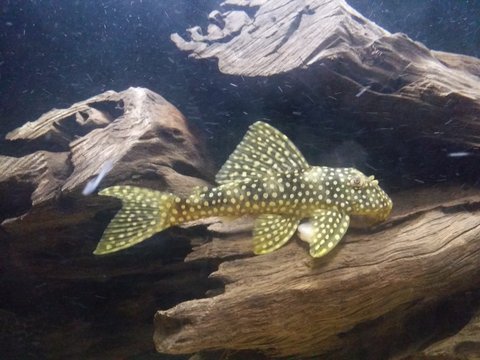 20160608_013817.jpg