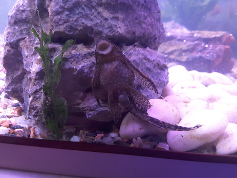20160827_213921.jpg