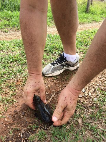 IMG-20160831-WA0016.jpg