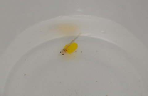 DSC_5538.jpg