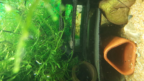 20161003_202354.jpg